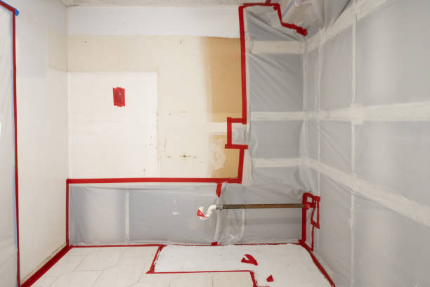 Best Forensic Mold Investigation  in Pine Level, NC